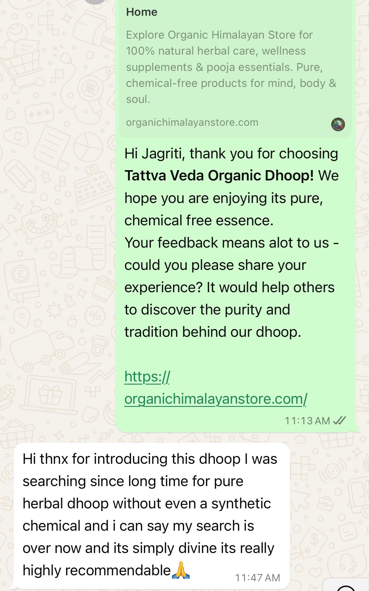 Chat Screenshot 3