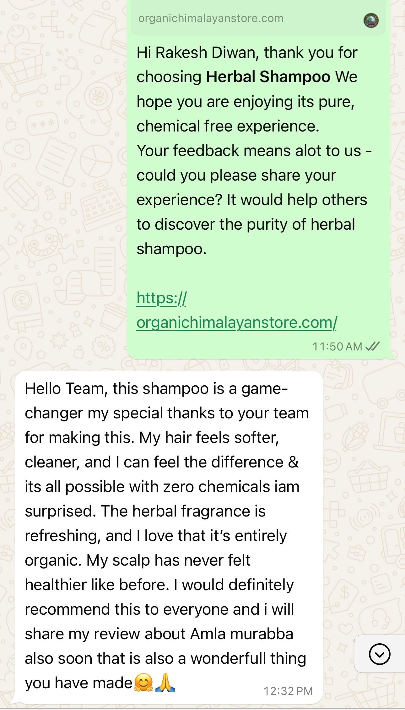 Chat Screenshot 4