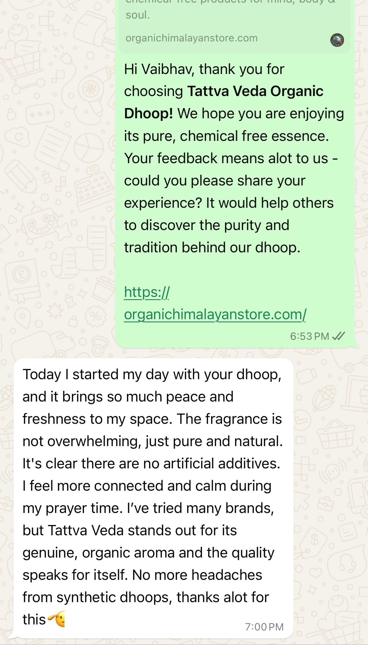 Chat Screenshot 9