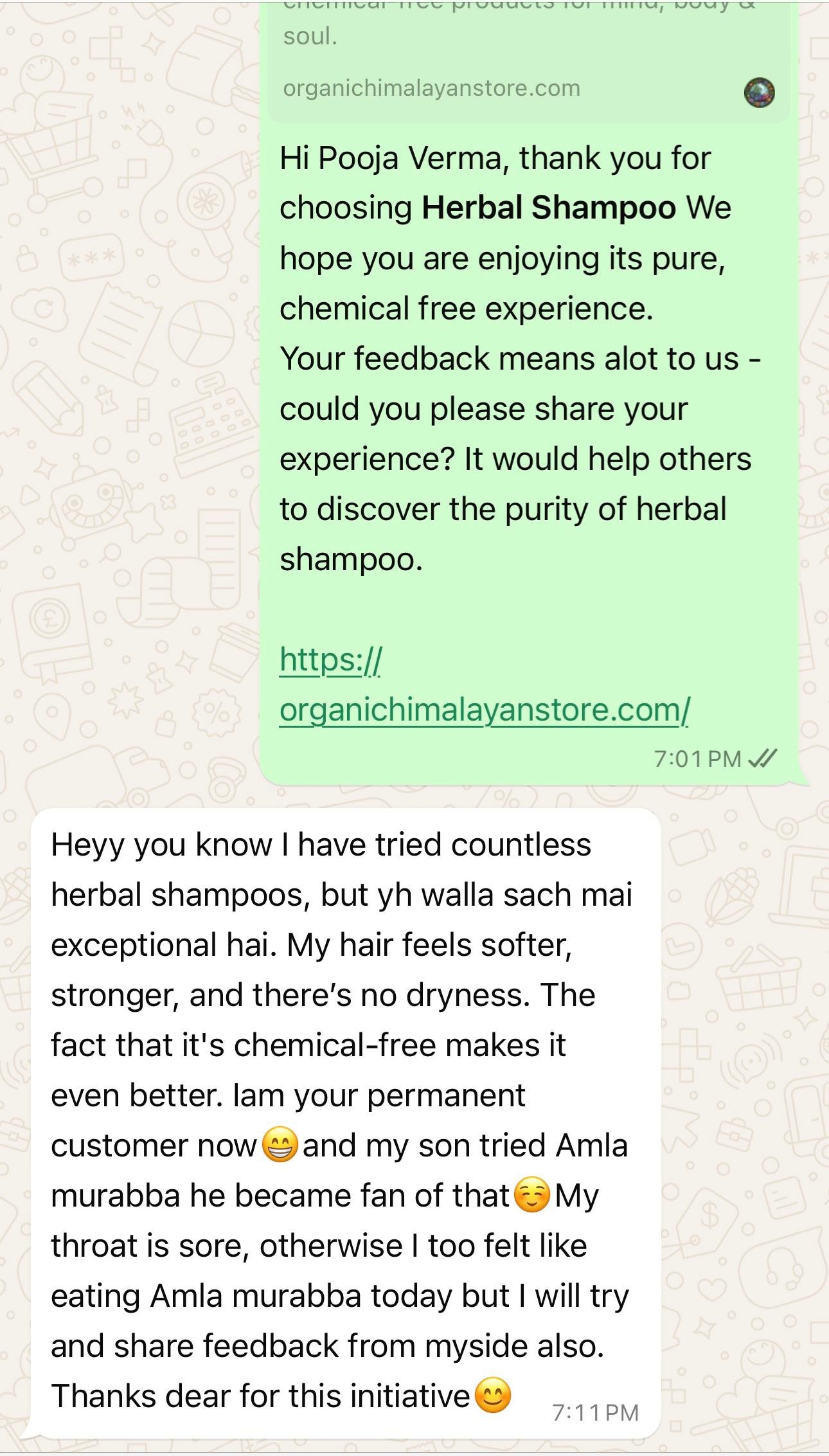 Chat Screenshot 8